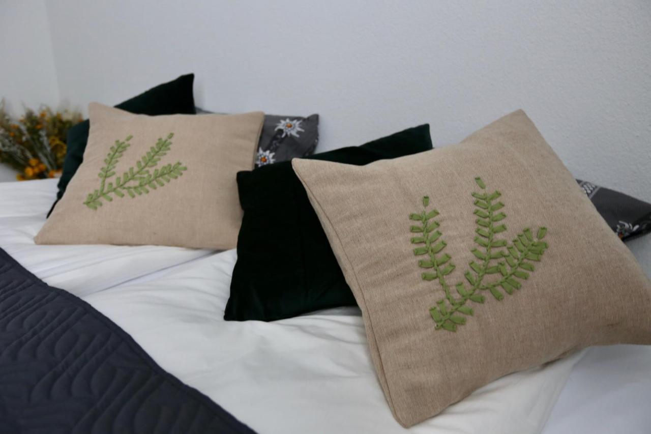 Alp Centre Location With Traditional Design And Self Check-in * Engelberg