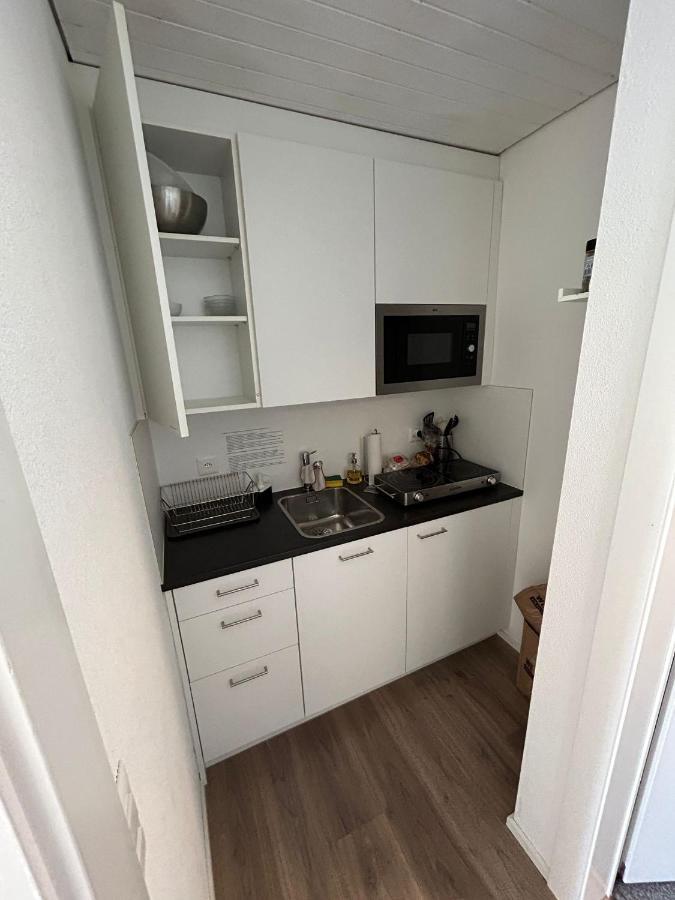 Apartment Alp Centre Location With Traditional Design And Self Check-in Engelberg